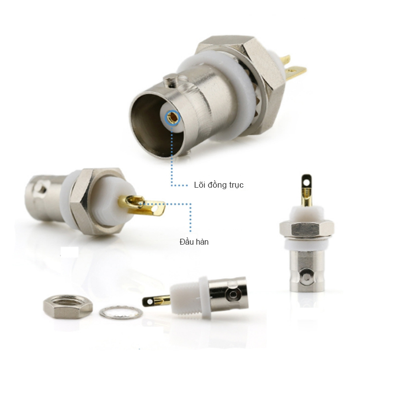 dau han jack cam bnc coraon