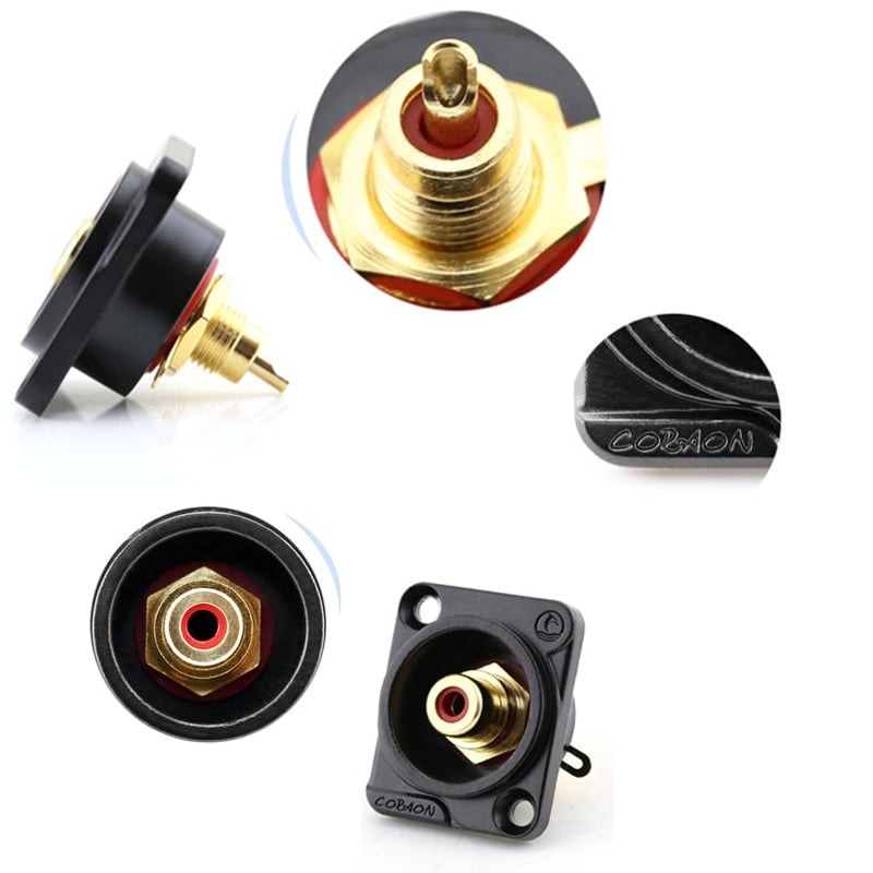 dau han chan cam av rca female coraon