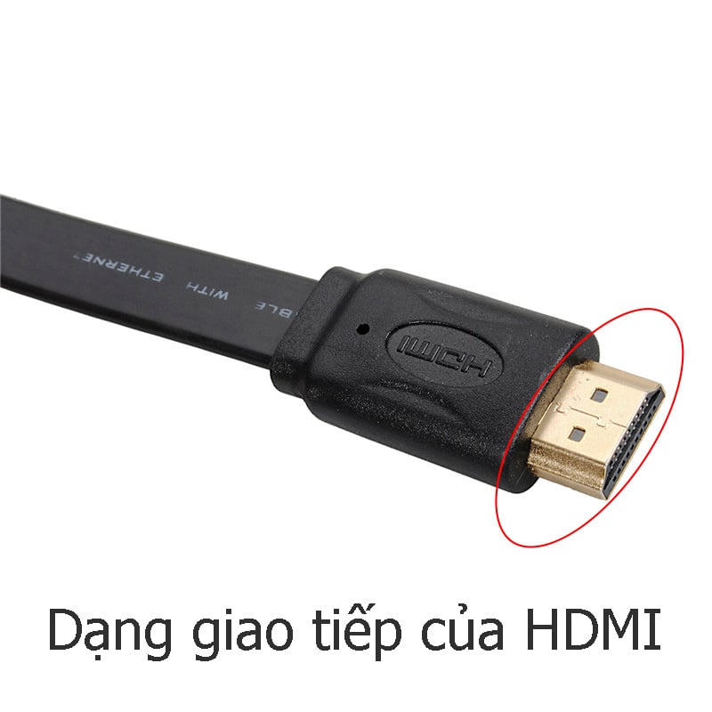 PCMCIA Express 34/54 ra PCI-Express 16X | Mở rộng và sử dụng các card PCI-E dành cho PC bên ngoài Laptop - Phụ Kiện Điện Tử Việt Nam