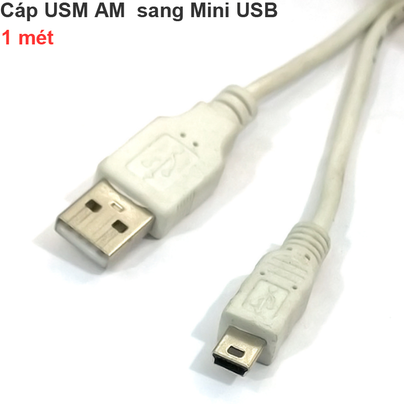 Cáp USB AM sang Mini USB 1 mét cho Máy tính ra Máy ảnh Avermedia GL310 - Phụ Kiện Điện Tử Việt Nam cap usb am - mini usb
