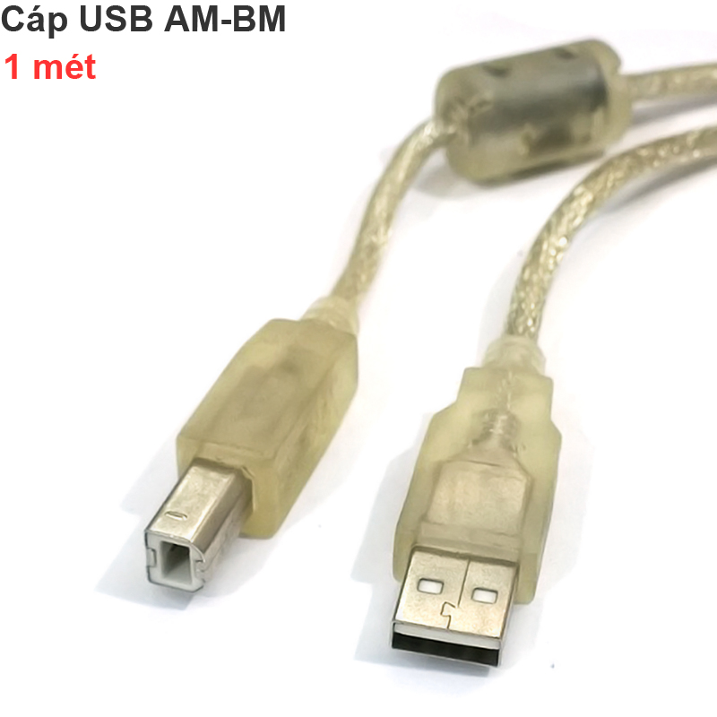 day usb am-bm