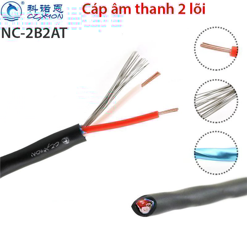 Dây hàn cáp âm thanh 2 lõi Coraon NC-2B2AT - Phụ Kiện Điện Tử Việt Nam cap am thanh 2 loi han cap audio 3.5mm coraon NC-2B2AT