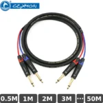 Cáp âm thanh 2 ra 2 6.5mm Czxyon